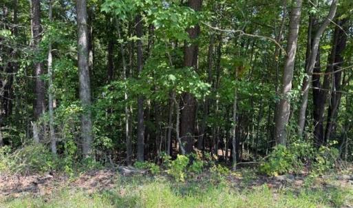 Photo #2 of Fields Avenue, Blue Ridge, VA 0.7 acres
