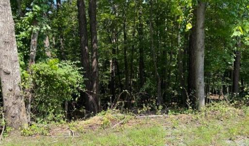 Photo #1 of Fields Avenue, Blue Ridge, VA 0.7 acres
