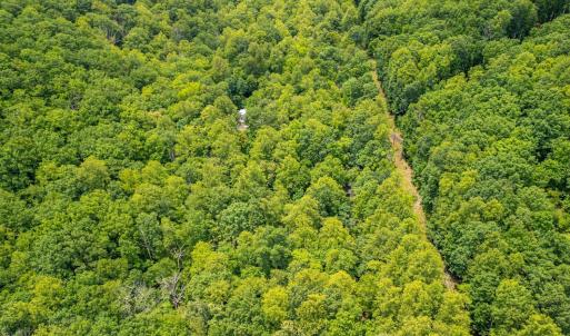 Photo #15 of 1509 Spruce Creek, Nellysford, VA 6.5 acres