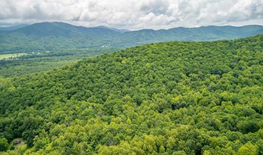 Photo #19 of 1509 Spruce Creek, Nellysford, VA 6.5 acres
