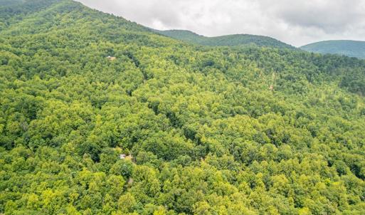 Photo #17 of 1509 Spruce Creek, Nellysford, VA 6.5 acres