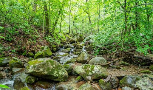 Photo #14 of 1509 Spruce Creek, Nellysford, VA 6.5 acres