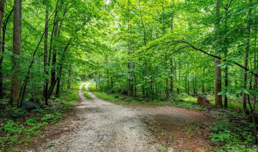 Photo #13 of 1509 Spruce Creek, Nellysford, VA 6.5 acres