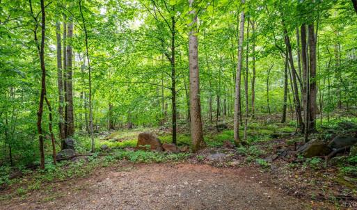 Photo #8 of 1509 Spruce Creek, Nellysford, VA 6.5 acres