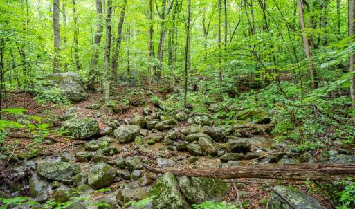 Photo #1 of 1509 Spruce Creek, Nellysford, VA 6.5 acres
