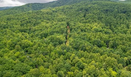 Photo #21 of 1509 Spruce Creek, Nellysford, VA 6.5 acres
