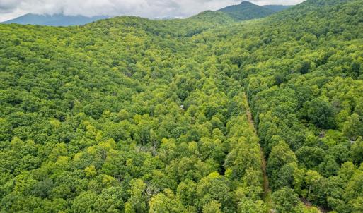 Photo #20 of 1509 Spruce Creek, Nellysford, VA 6.5 acres