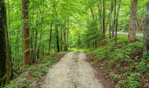Photo #3 of 1509 Spruce Creek, Nellysford, VA 6.5 acres