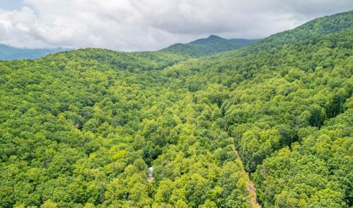 Photo #16 of 1509 Spruce Creek, Nellysford, VA 6.5 acres