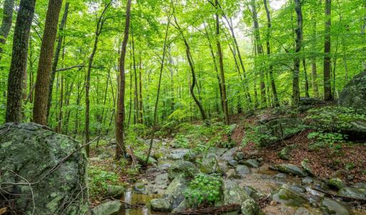 Photo #2 of 1509 Spruce Creek, Nellysford, VA 6.5 acres