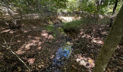 Photo #7 of Neighbors Drive, Amherst, VA 9.7 acres