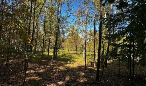 Photo #4 of Neighbors Drive, Amherst, VA 9.7 acres