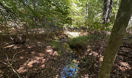 Photo #5 of Neighbors Drive, Amherst, VA 9.7 acres