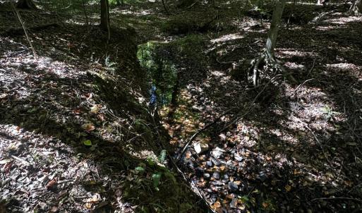 Photo #6 of Neighbors Drive, Amherst, VA 9.7 acres