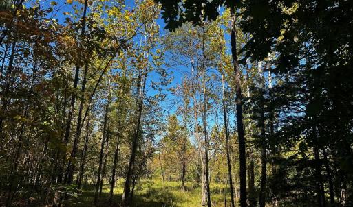 Photo #3 of Neighbors Drive, Amherst, VA 9.7 acres