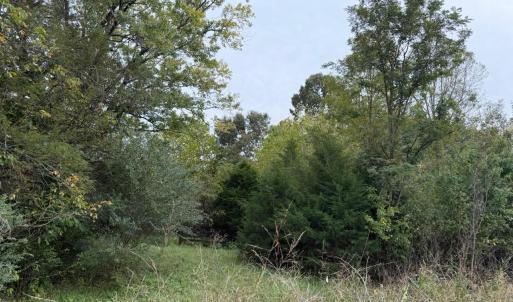 Photo #2 of Moneta Road, Moneta, VA 1.9 acres