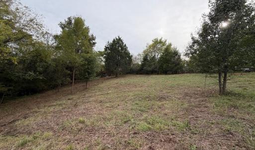 Photo #3 of Moneta Road, Moneta, VA 1.9 acres
