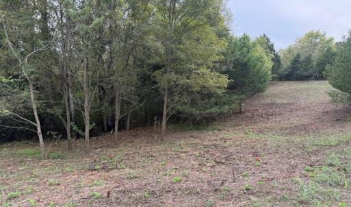 Photo #4 of Moneta Road, Moneta, VA 2.3 acres