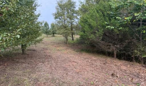Photo #2 of Moneta Road, Moneta, VA 2.3 acres