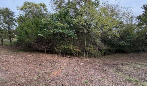 Photo #3 of Moneta Road, Moneta, VA 2.3 acres
