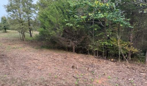 Photo #5 of Moneta Road, Moneta, VA 2.3 acres