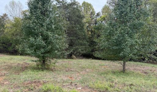 Photo #3 of Moneta Road, Moneta, VA 2.2 acres