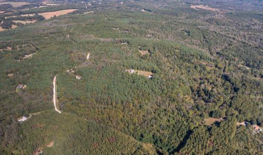 Photo #9 of Walkers Mountain Road, Arrington, VA 10.0 acres