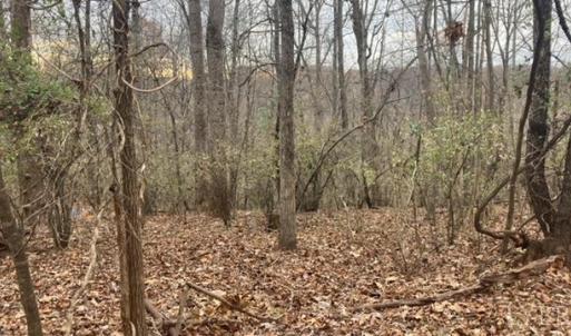 Photo #4 of 1147 Stratford Road, Lynchburg, VA 9.5 acres