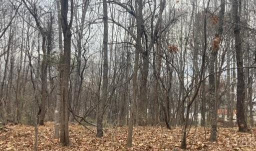 Photo #5 of 1147 Stratford Road, Lynchburg, VA 9.5 acres