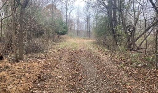 Photo #2 of 1147 Stratford Road, Lynchburg, VA 9.5 acres