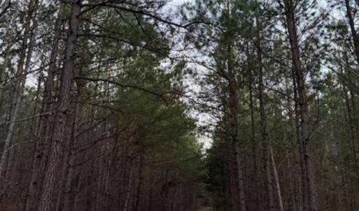 Photo #6 of Piney Mountain Road, Appomattox, VA 23.2 acres