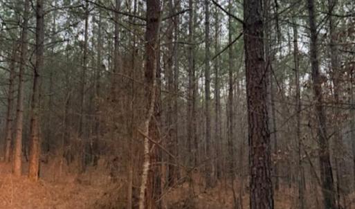 Photo #8 of Piney Mountain Road, Appomattox, VA 23.2 acres