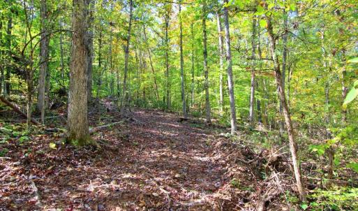 Photo #7 of 2 Mill Pond Road, Appomattox, VA 2.5 acres
