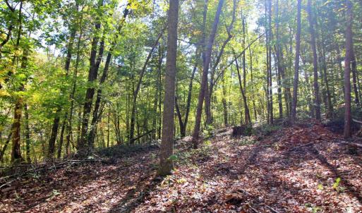 Photo #3 of 2 Mill Pond Road, Appomattox, VA 2.5 acres