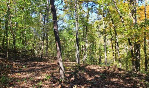Photo #6 of 3 Mill Pond Road, Appomattox, VA 1.9 acres