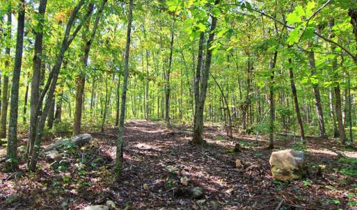 Photo #8 of 5 Mill Pond Road, Appomattox, VA 1.0 acres