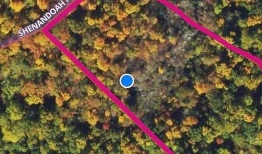 Photo #30 of 4445 Red Bird Drive, Standardsville, VA 16.0 acres