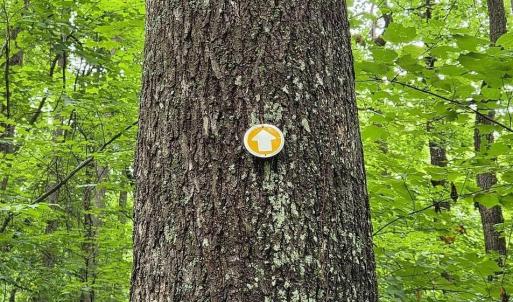 Photo #26 of 4445 Red Bird Drive, Standardsville, VA 16.0 acres