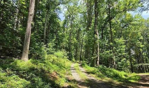 Photo #2 of 4445 Red Bird Drive, Standardsville, VA 16.0 acres