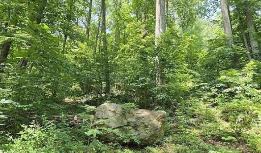 Photo #3 of 4445 Red Bird Drive, Standardsville, VA 16.0 acres