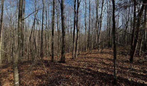 Photo #8 of 769 Darby Road, Pittsville, VA 193.2 acres
