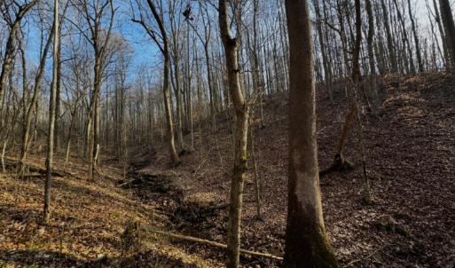Photo #11 of 769 Darby Road, Pittsville, VA 193.2 acres
