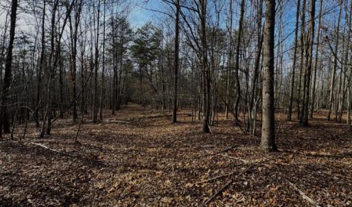 Photo #4 of 769 Darby Road, Pittsville, VA 193.2 acres
