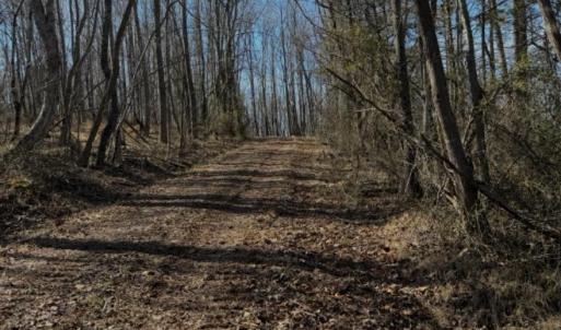 Trails.