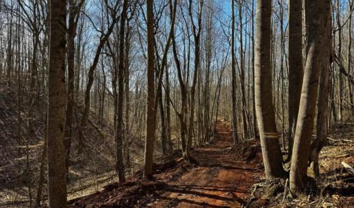 Trails.