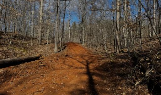 Trails.