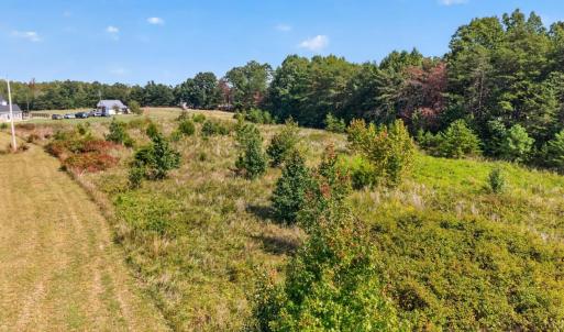 Photo #6 of Long Island Road, Gladys, VA 19.0 acres