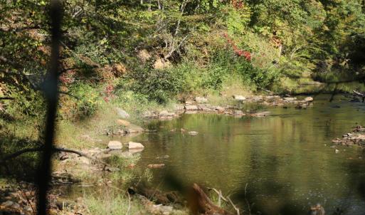 Photo #4 of Hollywood Road, Appomattox, VA 84.4 acres