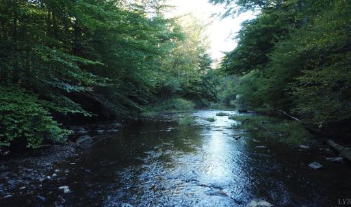 Photo #9 of Hollywood Road, Appomattox, VA 84.4 acres