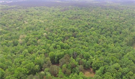 Photo #10 of Van Wyck, Lancaster, SC 114.0 acres